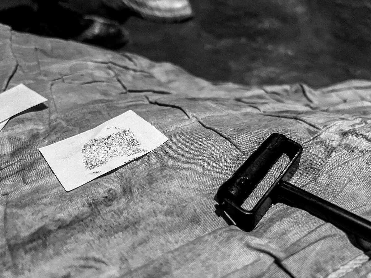 Фото: Екатерина Царева/МК в Твери