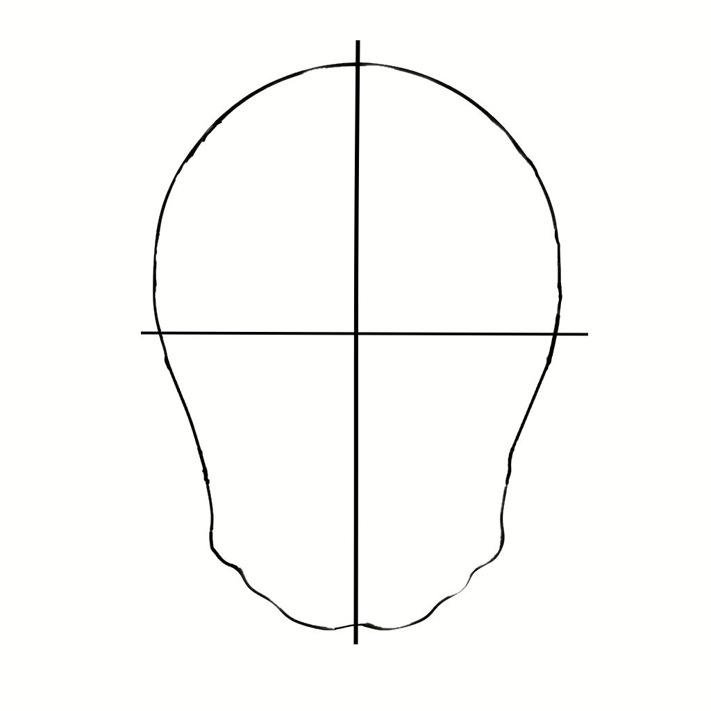 На первом шаге намечаем общую форму, срединную линию и горизонтальную центральную линию