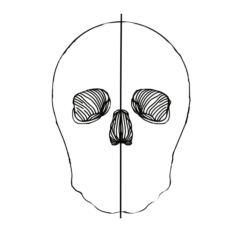 Далее намечаем глазницы и нос