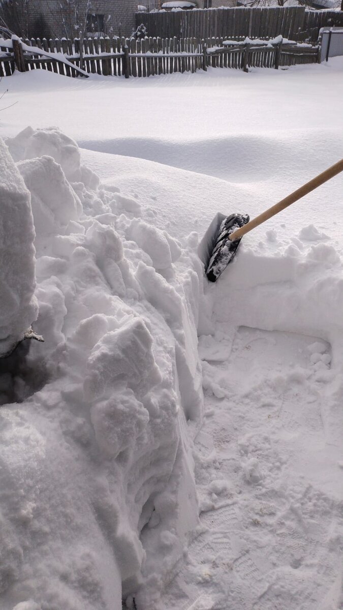 Кто сказал, что зимой в деревне делать нечего?