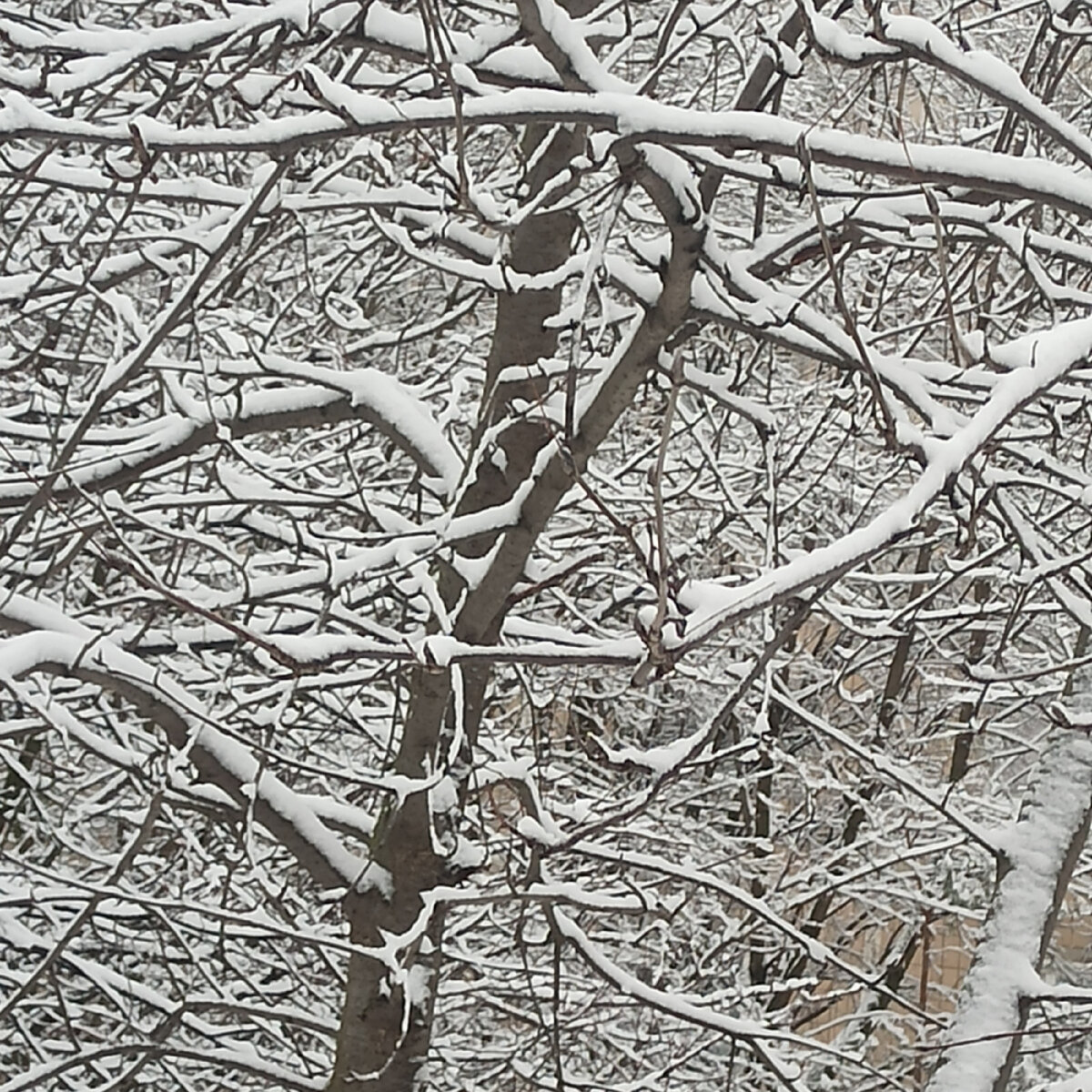 Холодно. Фото автора