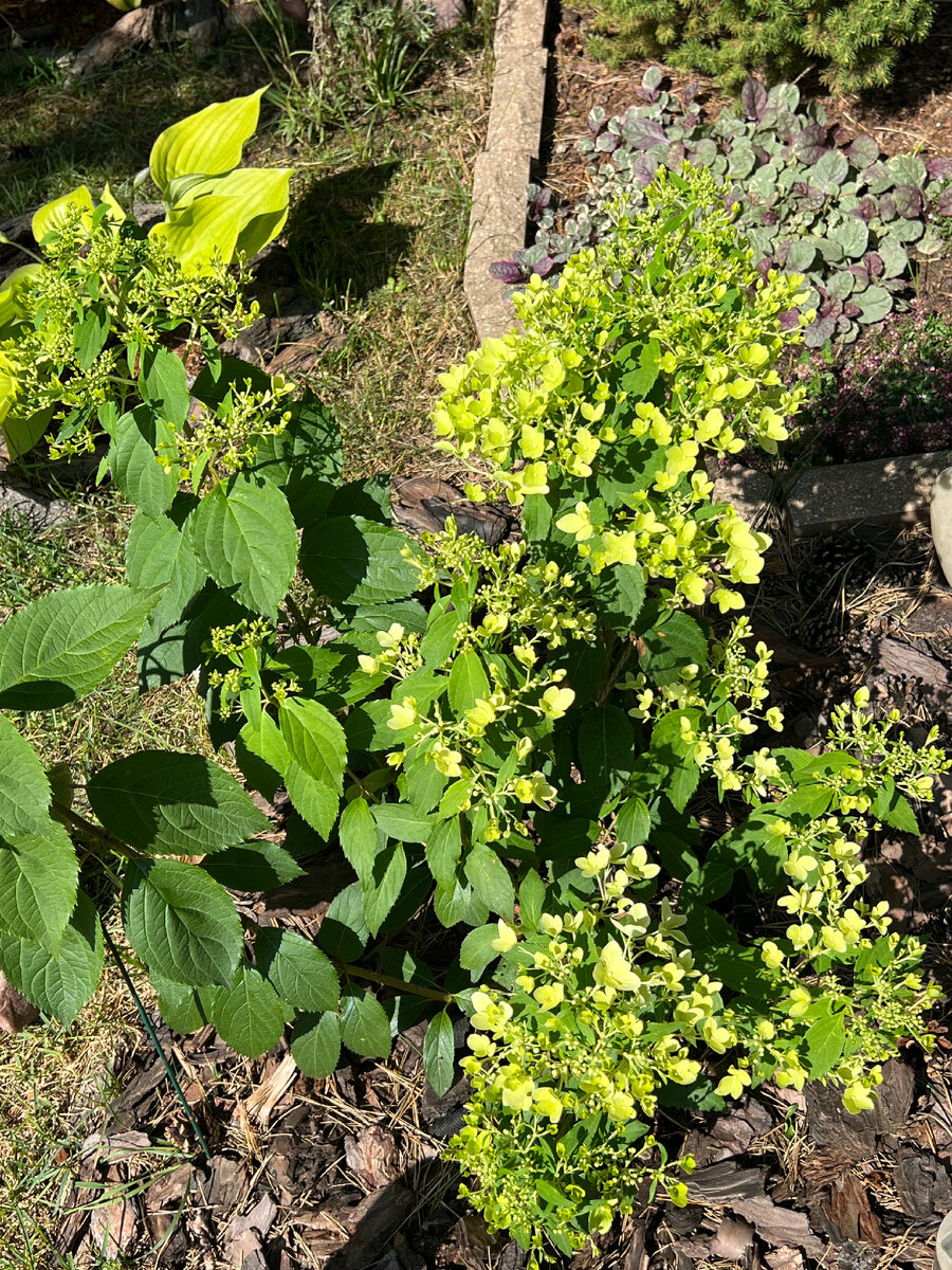 Китайский календарь по годам животных таблица. Мусульманский календарь 2019. 2019 год какого числа. 2019 год какого числа. Старославянский календарь по годам.