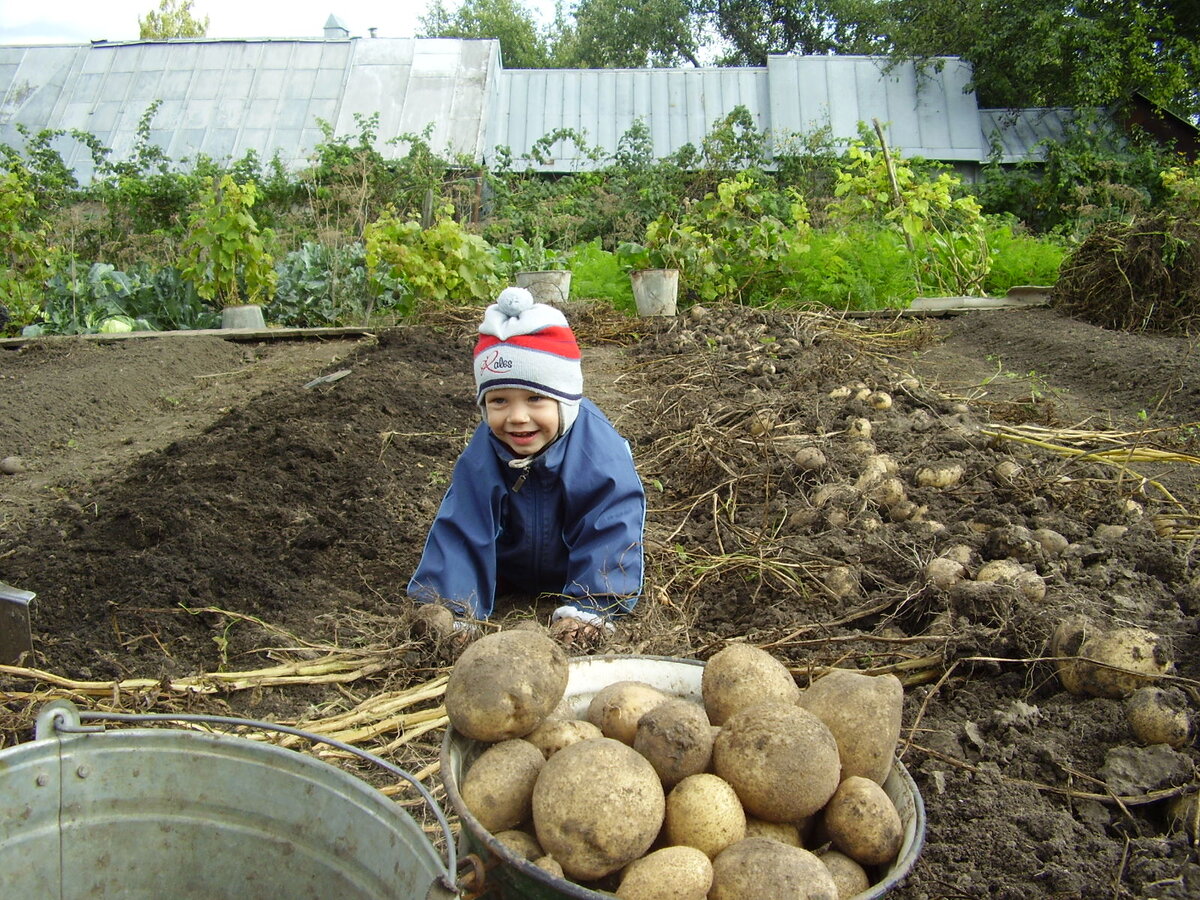 Передача знаний через игру и через непосредственный контакт с землёй, растениями. Сейчас этот малыш уже в армии) Но любовь к земле, к растениям он впитал с детства