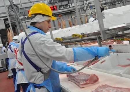   Россия экспортировала рекордное количество свинины. На Украине нехватка свиного мяса и субпродуктов
