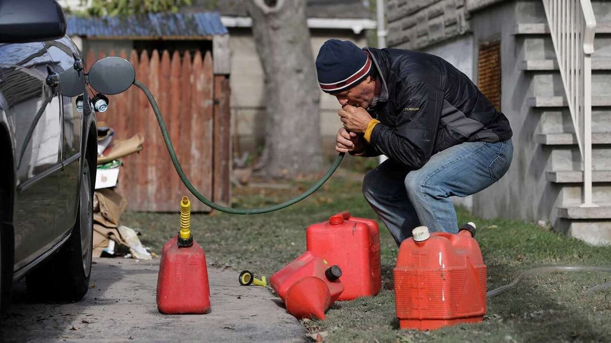 Фото из интернета