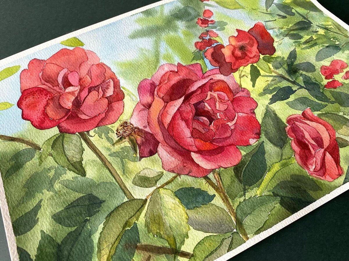 Красные кустовые розы