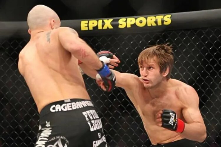    Источник фото: Bellator MMA