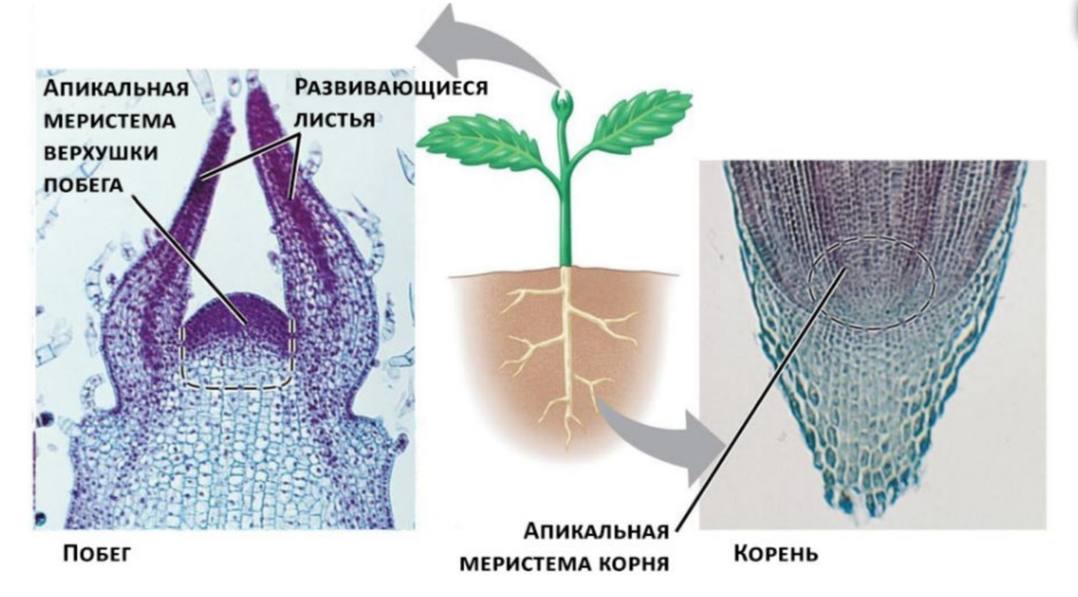 Что будет если получить 2 по огэ. Инструкция проведения огэ. Огэ 2 что делать. Огэ 2 что делать. Что будет если не сдать огэ.