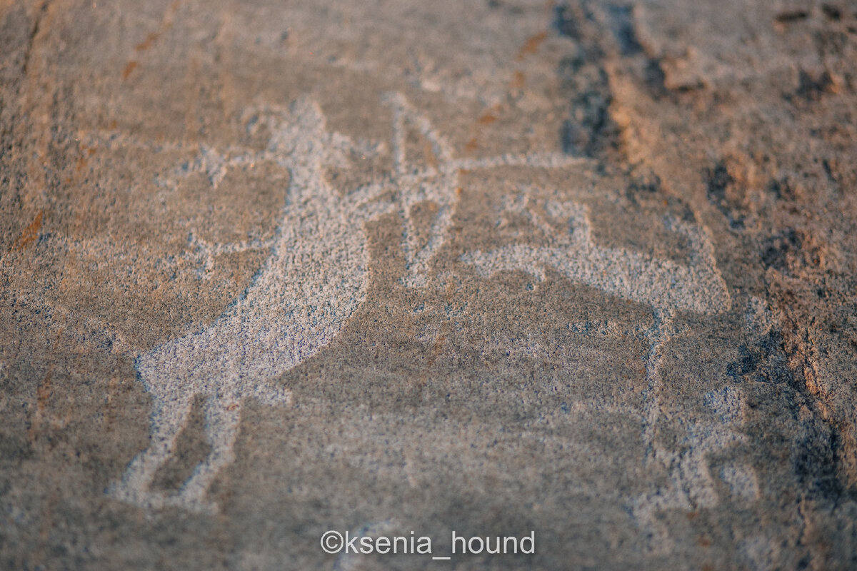 беломорские петроглифы в карелии