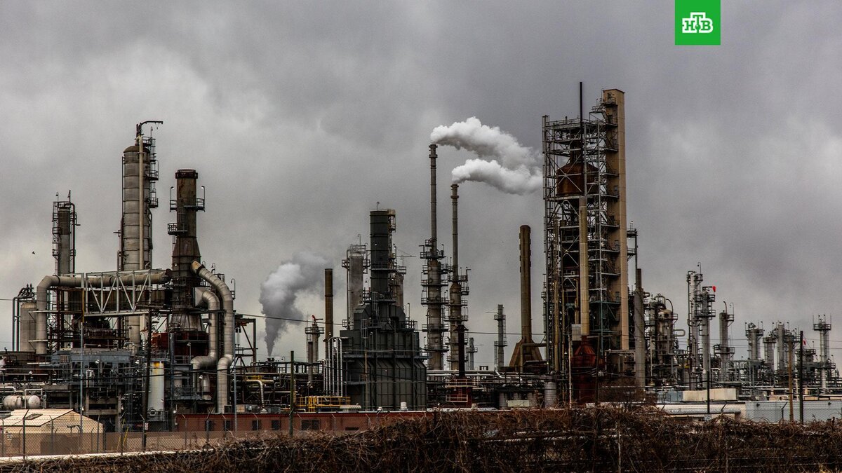    Фото: Patrick Hendry / unsplash.com