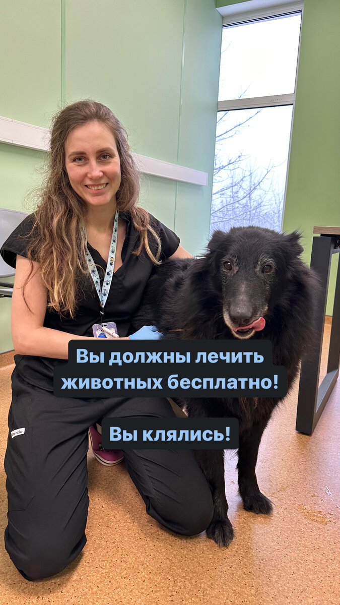 Мне всегда было интересно, а что это за клятва такая, где мы бесплатно лечим.
⠀
Месяца не проходит, кто-то из клиентов кричит -«Вы же клялись!». А я такая -«Что?».
Коллеги, может кто знает?
⠀
Для всех остальных - а нет, ветеринарные врачи никакой клятвы не дают.
Подождите? Вы же сейчас не о клятве Гиппократа? Ребят, так она была актуальна в 3 веке до нашей эры! И вообще включала в себя: что ты своими знаниями не будешь убивать и вредить людям, ну и аборты делать не будешь… И все… Ни слова об бескорыстии и все помощи. А да, еще в свидетели там призывали богов -«Клянусь Аполлоном врачом, Асклепием, Гигиеей и Панакеей, всеми богами и богинями, беря их в свидетели…»
⠀
Вы можете представить современного хирурга, который на полном серьезе Асклепием клянется? Да, греческий мало кто знает.
⠀
Поэтому все страны потихоньку начали придумывать клятвы для врачей и адаптировать их под себя.
России она тоже есть, клятва врача Российской Федерации. Можете погуглить. Мне понравилась. Но, опять, гады, забыли включить бесплатность… Вот же…
⠀
Поэтому:
1)ветеринарные врачи работают платно;
2)Если вы взяли котика с улицы и принесли лечить. Вы - молодец. Но все равно все платно… И будет хорошо беря себе животное понимать, что вы еще берете ответственность за его питание, здоровье, жизнь.
3)клятвы мы никакие не даем;
4)То что мы любим животных, не отменяет необходимости каждый день кушать, содержать детей, ипотеку и 25 кошек.
⠀
Всем любви, адекватности и здоровых хвостиков
❤️