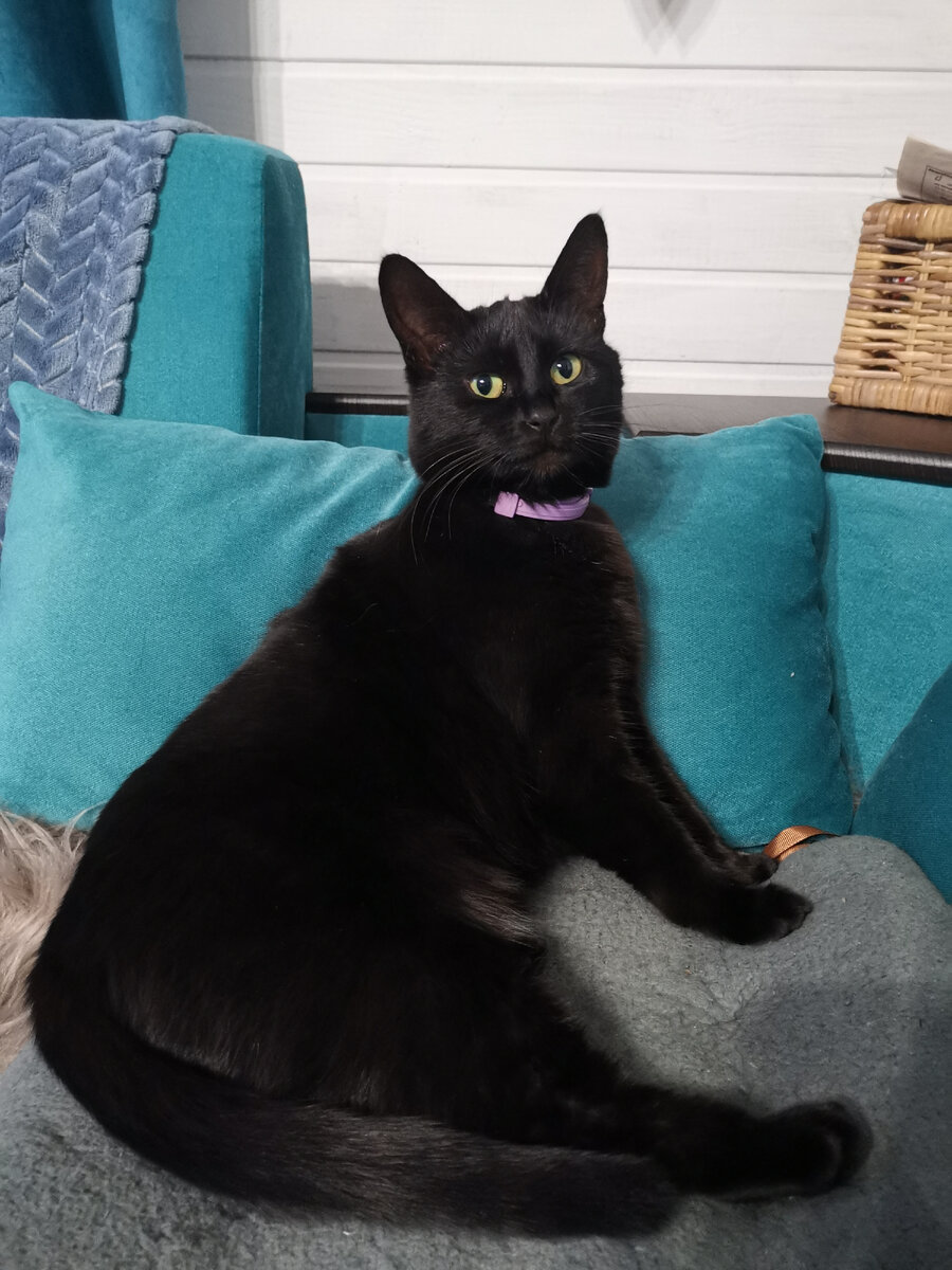 Фото автора.