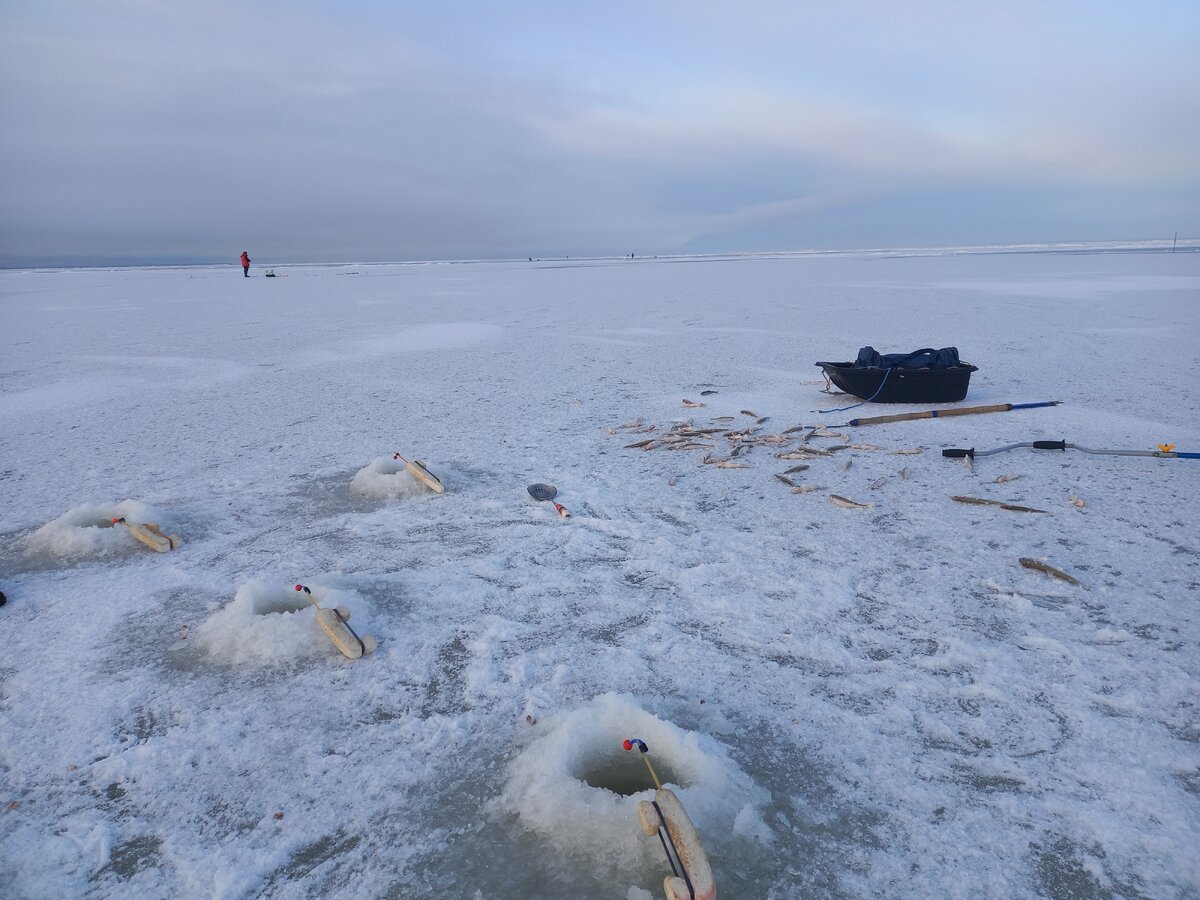 Так вот пришлось ловить)