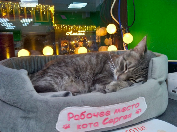 Фото: https://vk.com/zlk_overhear