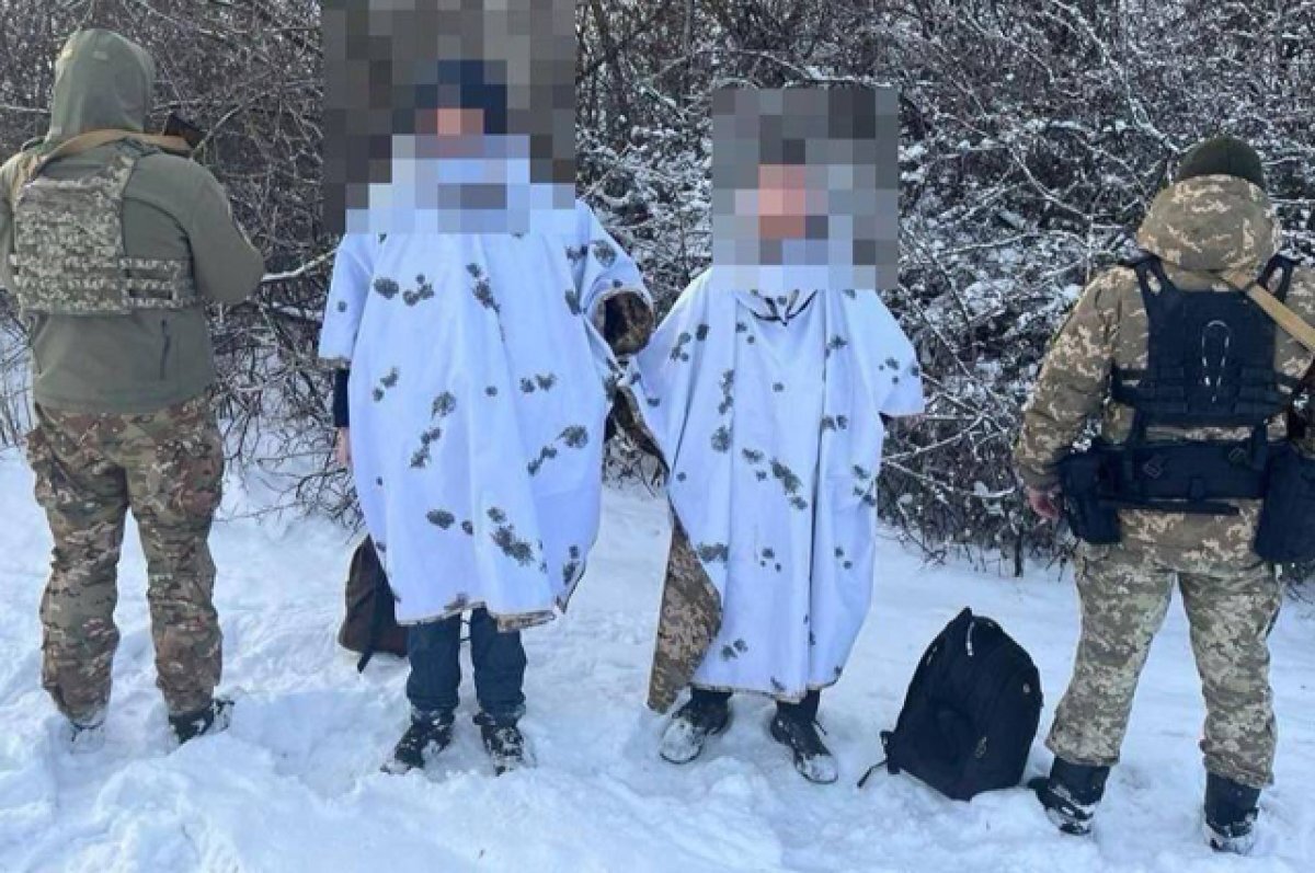    Прячутся в снегу.