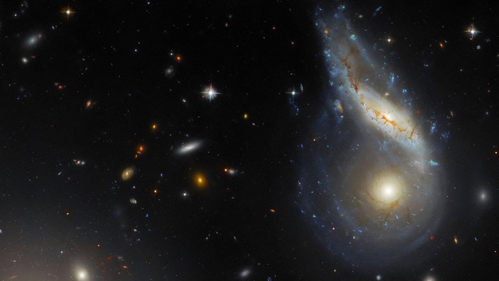    Фото: ESA/Hubble & NASA, J. Dalcanton, Dark Energy Survey/DOE/FNAL/DECam/CTIO/NOIRLab/NSF/AURA