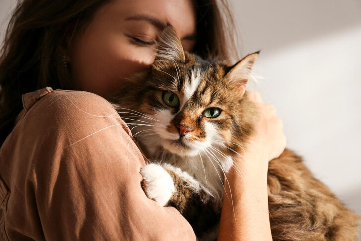 Источник: Shutterstock/Fotodom.ru