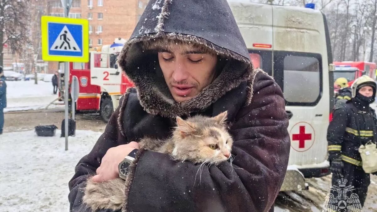     Кошку Фросю спасли из горящего дома на улице Звездинке в Нижнем Новгороде 16 января. Информацию об этом предоставили в пресс-службе ГУ МЧС России по региоу.