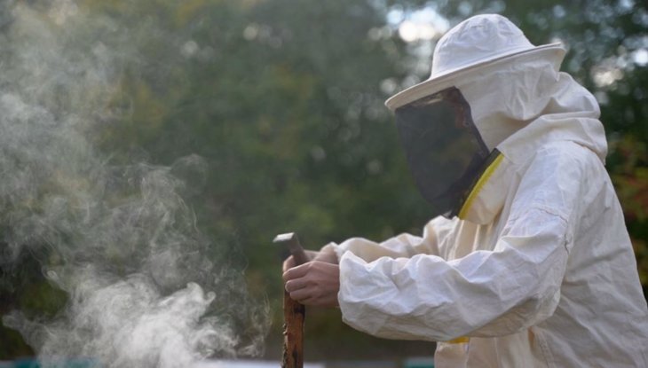    Башкортостан – российский лидер по производству товарного меда