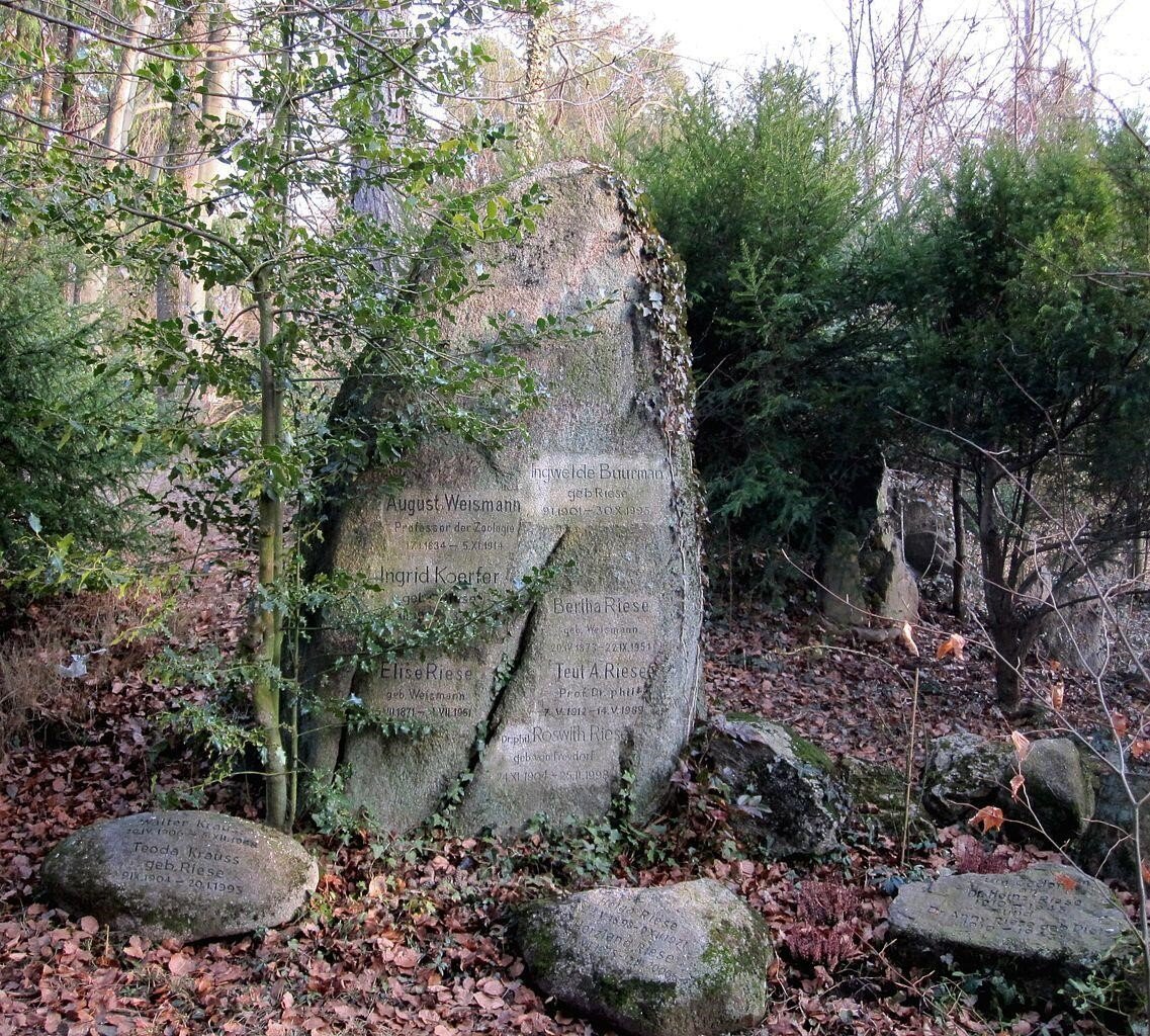 Могила Августа Вейсмана © Dr. med. Mabuse/Wikimedia Commons
