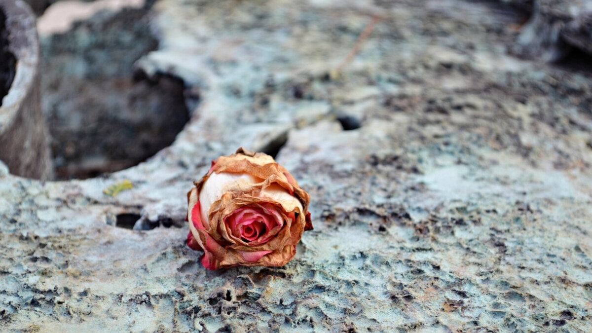 Романтика романтикой, но элементарные правила самосохранения никто не отменял