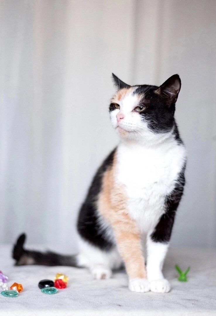 и уверенностью.