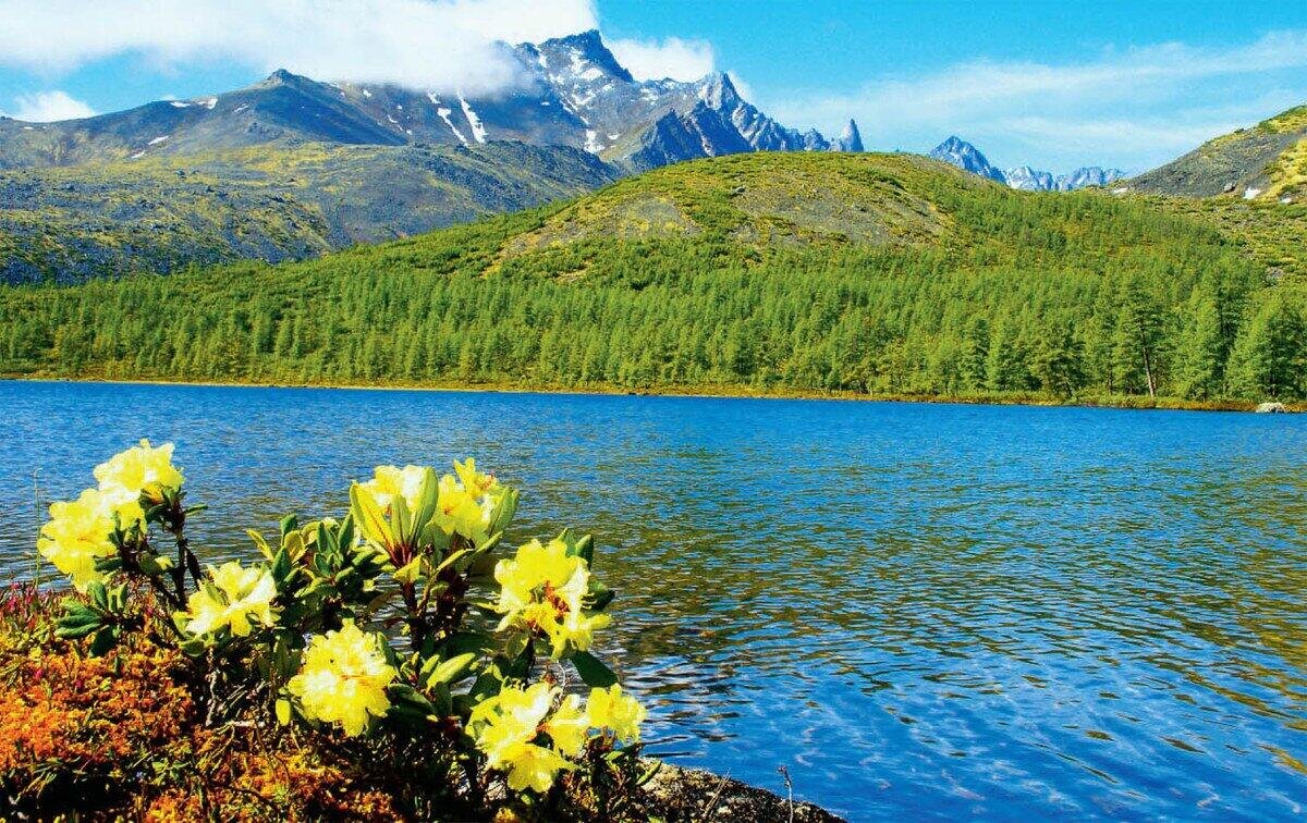 фото из архива интернета