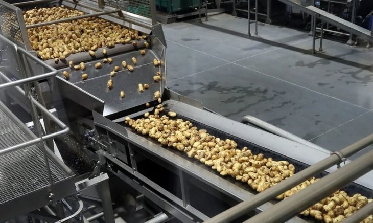    Запуск мегаперерабатывающего картофельного завода в Орловской области назначен на 2025 год