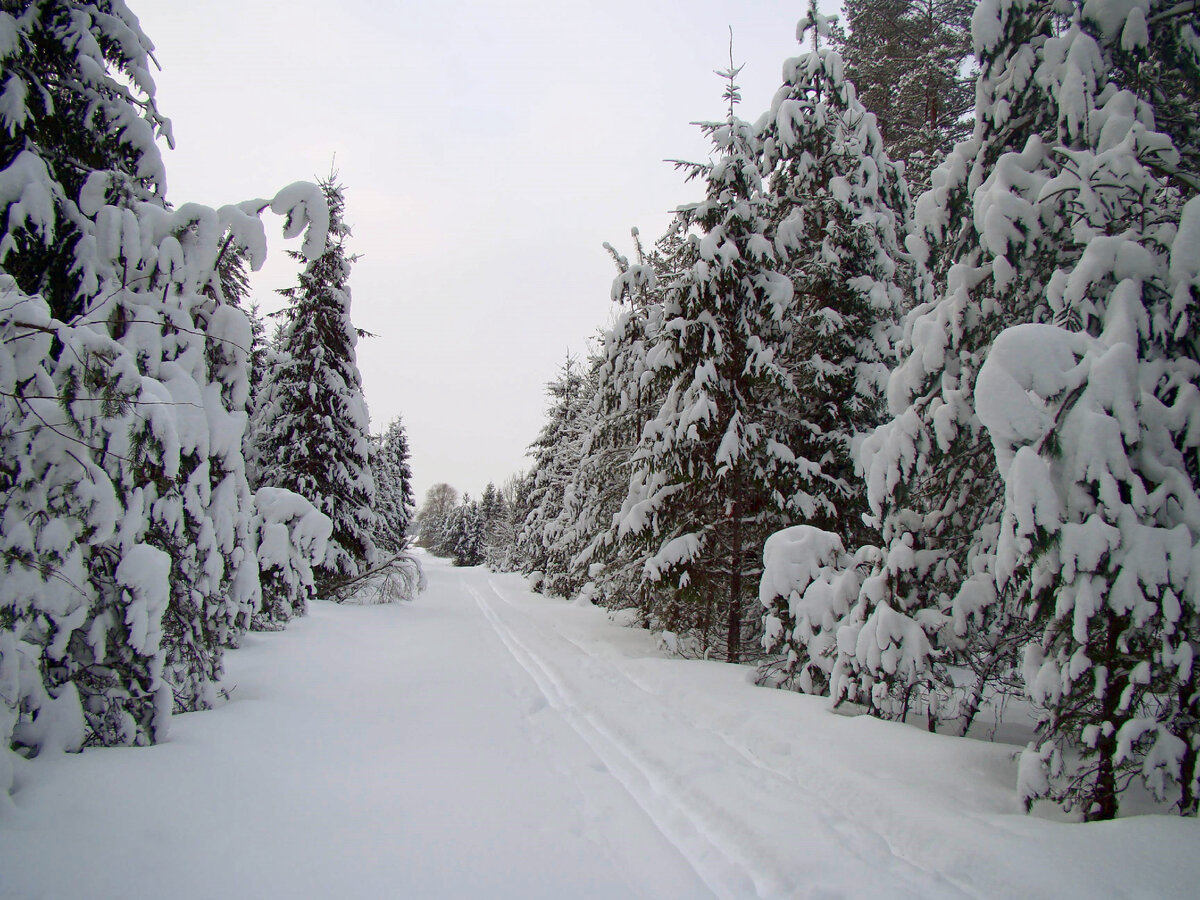 Фото Лидии Бам