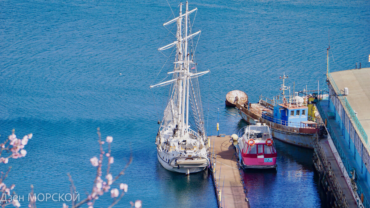 Баркентина "Ignatia" в Южной бухте Севастополя. 9 марта 2023 г.
