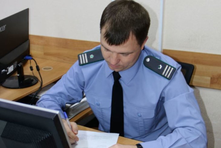    Новогоднее чудо выращивания подсолнечника без пестицидов расследовал Россельхознадзор