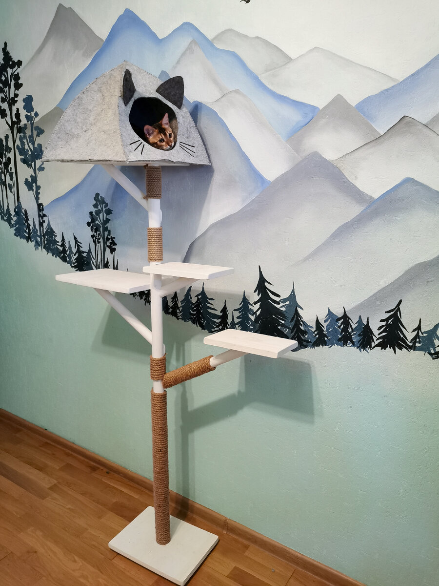 Постановочный кадр с довольной кошкой