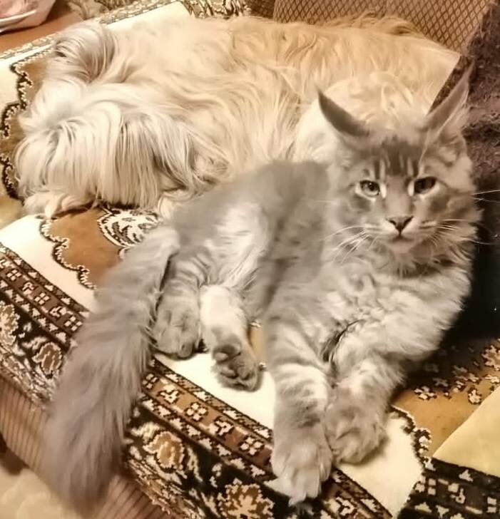 Сейчас так вдвоем в кресле они уже не помещаются