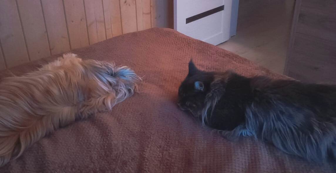 Он и она - хорошо вдвоем