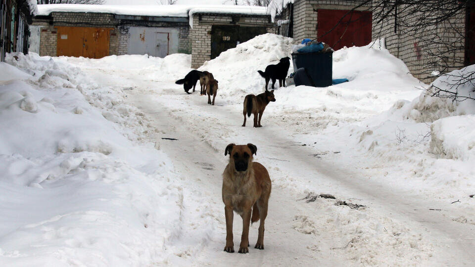 Фото: © Андрей Епихин/ТАСС