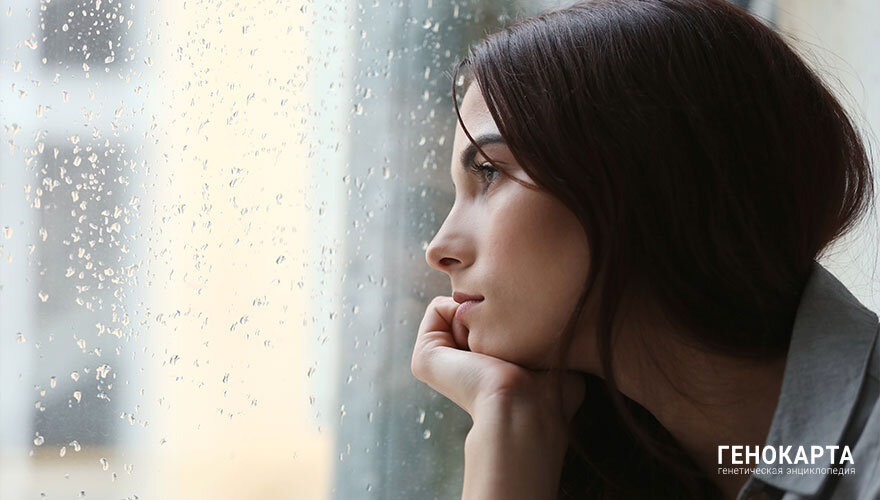 Africa Studio // shutterstock.com