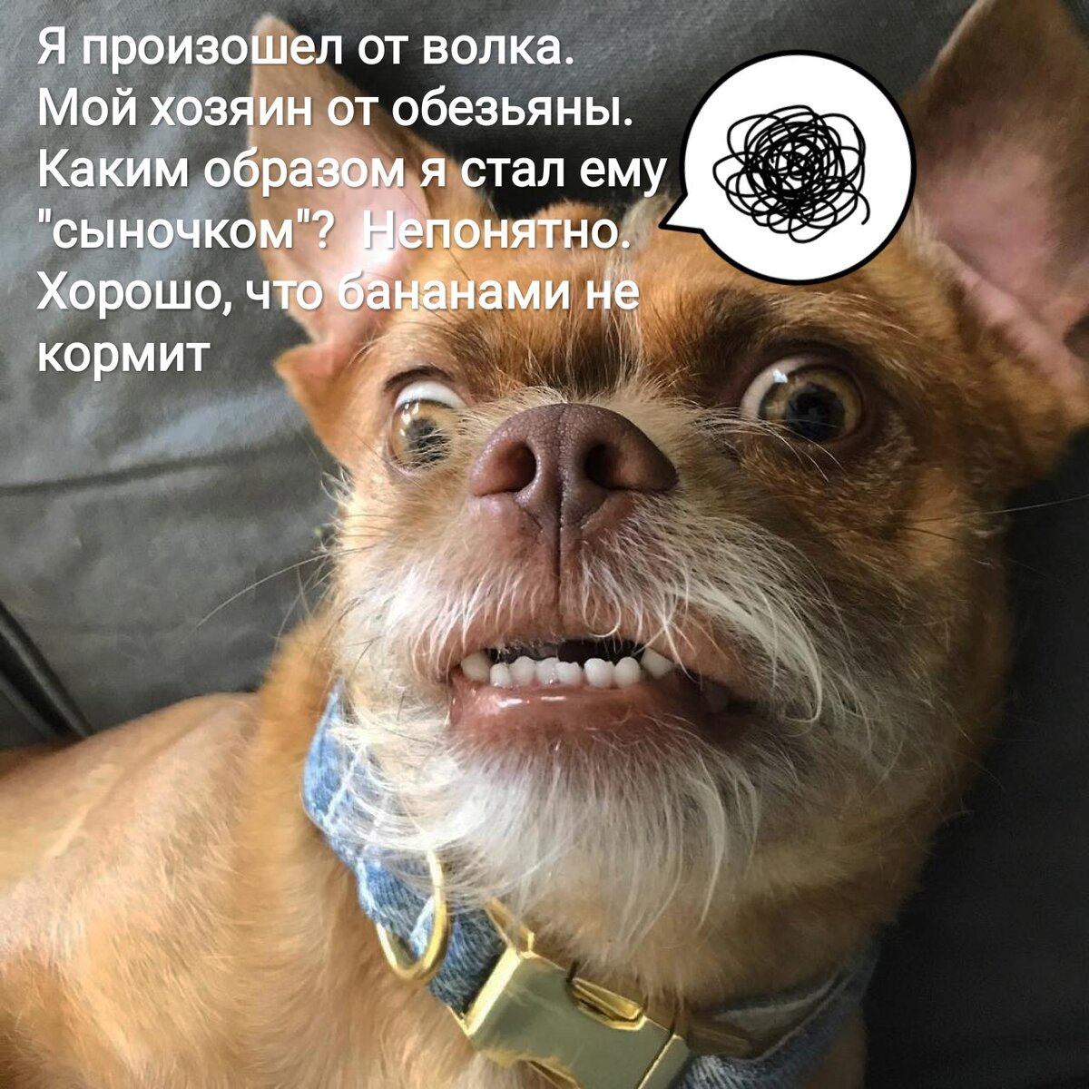 Фото из интернета в обработке автора.