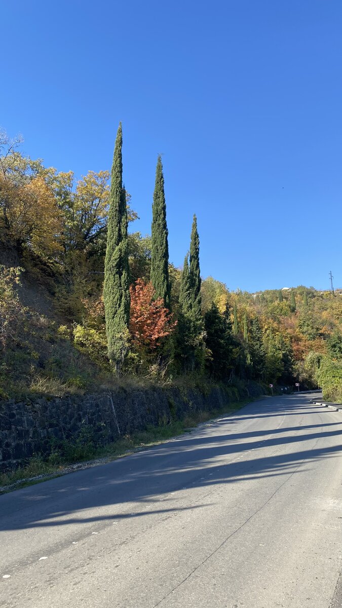 Дорога в Малом Маяке, ведущая в усадьбу Кёппена. Осень 2022 года. Какой привычный элемент , как каменная подпорная стенка, а сколько в нём романтики! Но и эти стенки постепенно исчезают при капитальном ремонте дорог, их заменяют на бетонные барьеры. 