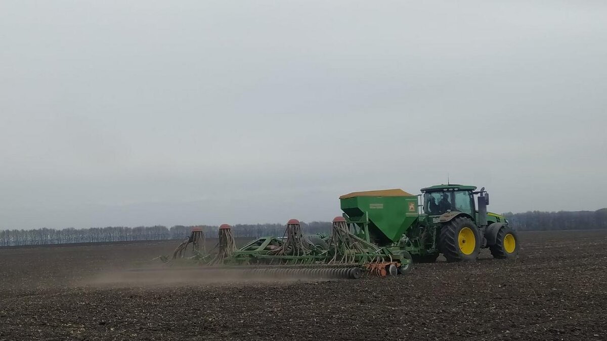    В Курской области 31 тыс га кукурузы до сих пор не убрано
