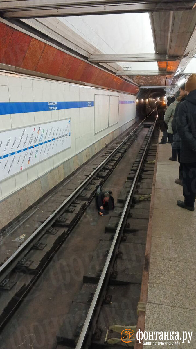 Движение поездов на «синей» ветке петербургского метрополитена остановили.  Читайте на 