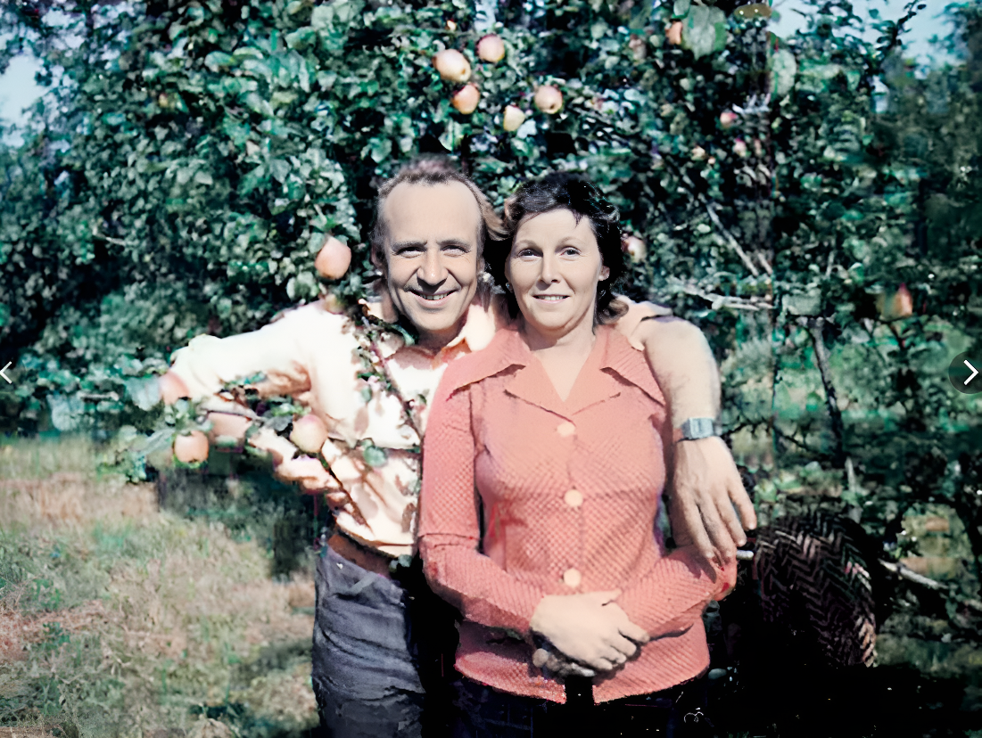 некогда или никогда. как правильно писать никогда. никогда и некогда правило. больше не буду писать. никогда как пишется.