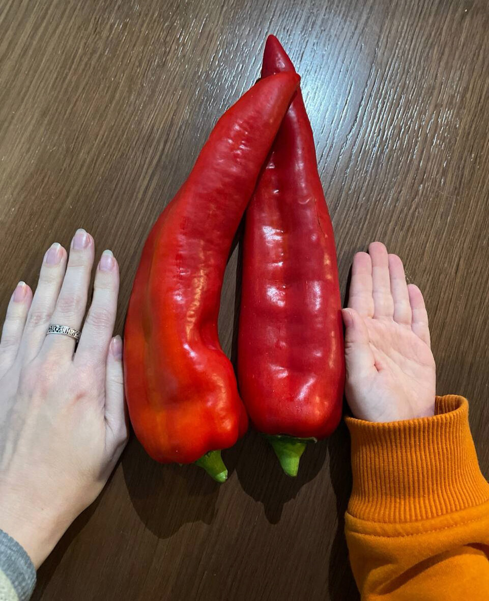 Перцева читать. Перцева читать. Анализ личности нумерология ольга перцева. Ольга нумеролог. Ольга перцева.