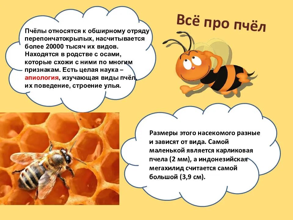 Проект окружающий мир 4 класс про пчел