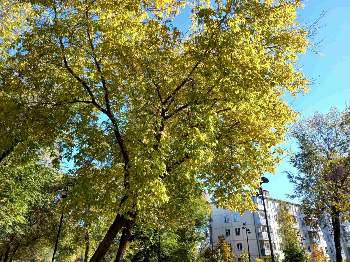 Фото автора.