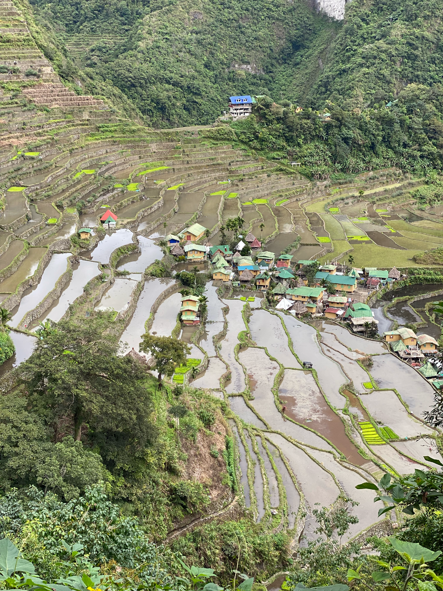 Typhoon bopha. тайфун хайян 2013. филиппины тайфун мавар. манила филиппины. филиппины город местных жителей.