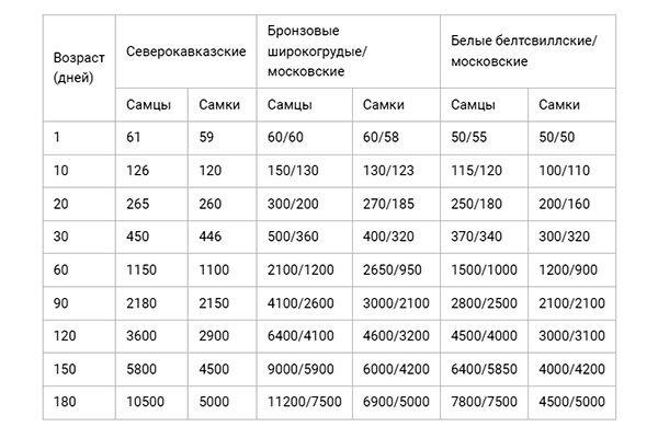 Понос у индюков: как лечить желтый, черный и белый понос