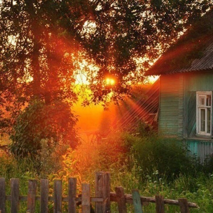 фото из интернета