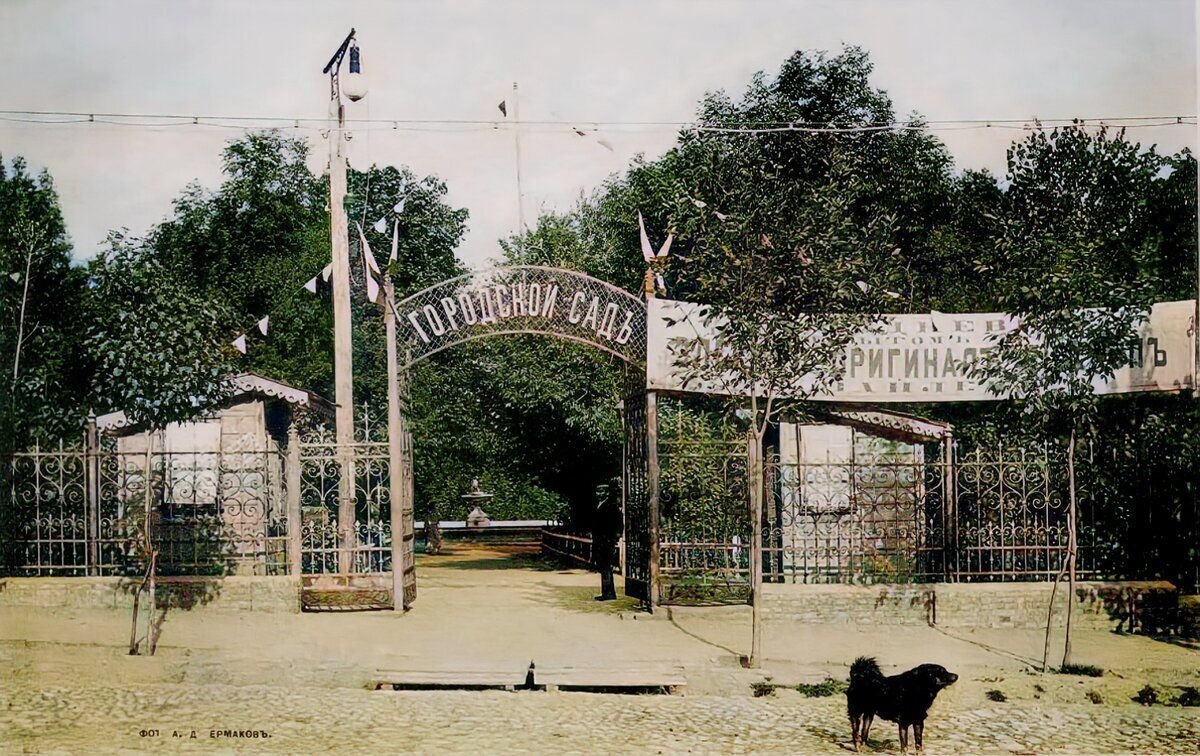 Частью городского пейзажа старого Курска были собаки
