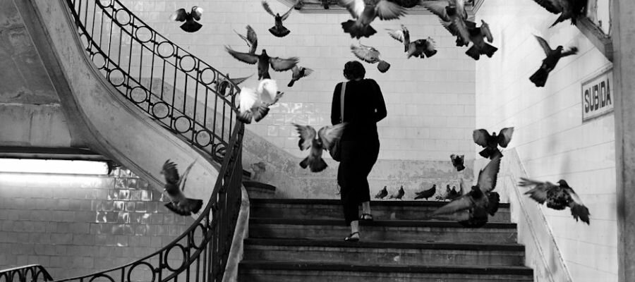 «Композиция должна быть предметом наших постоянных забот, но во время съемки мы можем почувствовать её только интуитивно» — Анри Картье-Брессон.