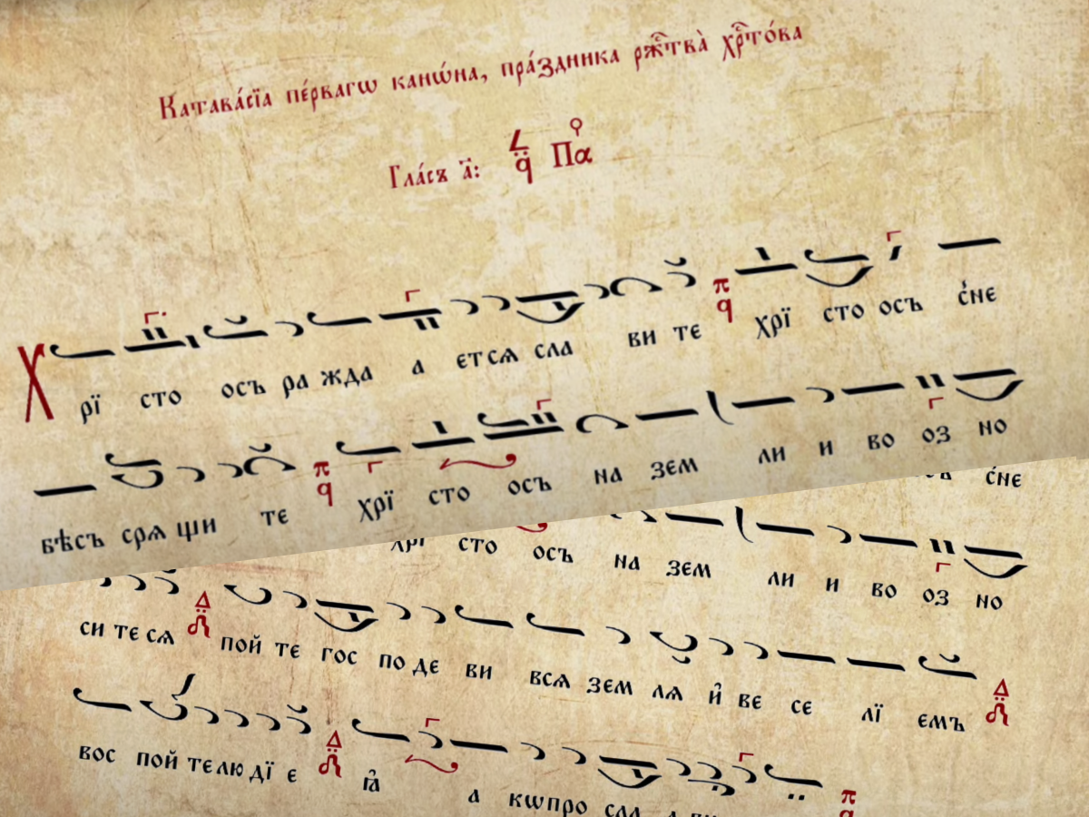 Настоящая катавасия